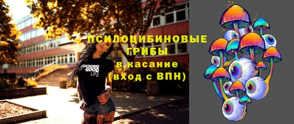 mdpv Киреевск